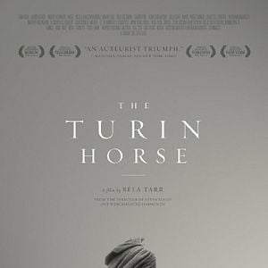 Foto O Cavalo de Turim