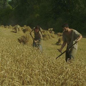 Foto Tom Cullen (III)