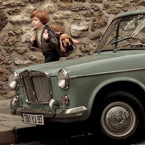 Foto Cão que Ladra não Morde