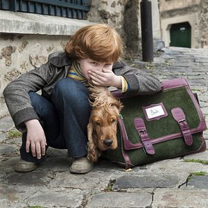 Foto Cão que Ladra não Morde