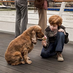 Foto Cão que Ladra não Morde