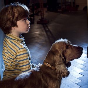 Foto Cão que Ladra não Morde