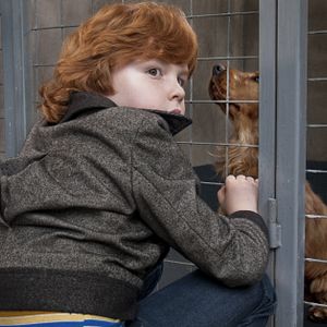 Foto Cão que Ladra não Morde