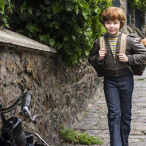 Foto Cão que Ladra não Morde