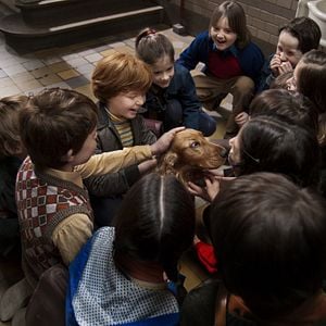 Foto Cão que Ladra não Morde