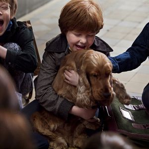 Foto Cão que Ladra não Morde