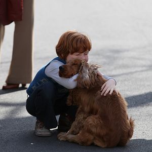 Foto Cão que Ladra não Morde