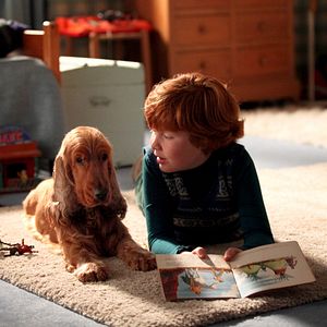 Foto Cão que Ladra não Morde