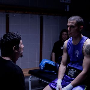 Foto Escorpião Apaixonado