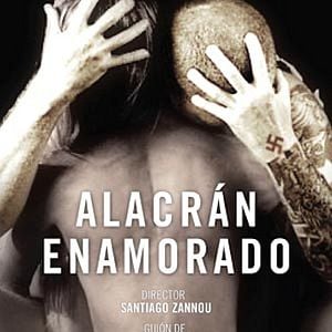 Foto Escorpião Apaixonado