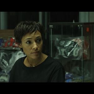 Foto Escorpião Apaixonado