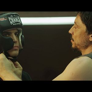 Foto Escorpião Apaixonado