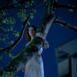 Foto O Sabor Dos Caroços De Maçã