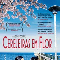 Foto Hanami - Cerejeiras em Flor