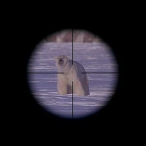 Foto Alaska - Uma Aventura Inacreditável