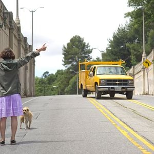 Foto Procura-se um Amigo para o Fim do Mundo