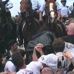 Foto How to Survive a Plague