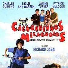 Foto Dois Cachorrinhos Milagrosos