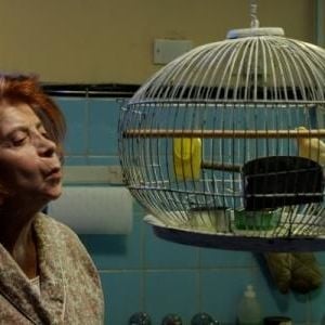 Foto A Velha dos Fundos