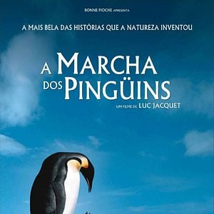Foto A Marcha dos Pingüins