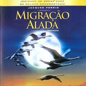 Foto Migração Alada