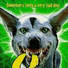 Foto Cachorro Atômico