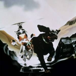 Foto Os Cães Plagueados