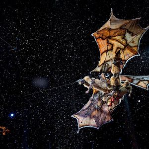 Foto Cirque du Soleil: Outros Mundos