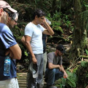 Foto Depois da Terra