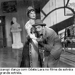 Foto O Gato de Madame