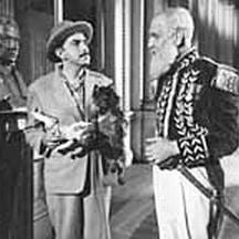 Foto O Gato de Madame