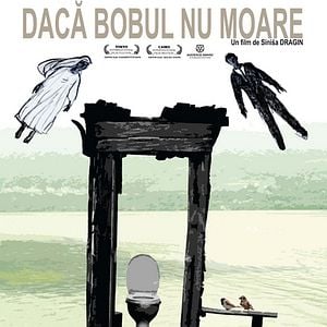 Foto Sementes da Vida