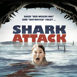 Foto Tubarão de Malibu