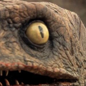 Foto 100 Milhões Antes de Cristo