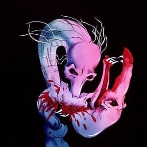 Foto Pink Floyd - The Wall