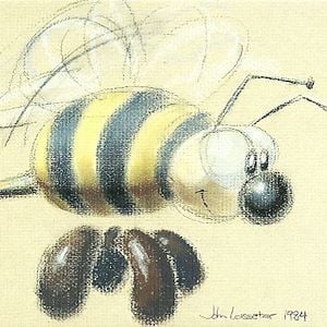 Foto The Adventures of André and Wally B.