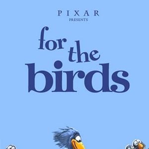 Foto Para os Pássaros