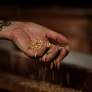 Foto A Última Estação