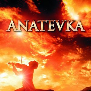 Foto Um Violinista No Telhado