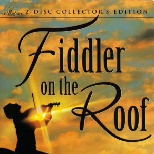 Foto Um Violinista No Telhado