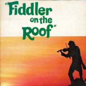 Foto Um Violinista No Telhado