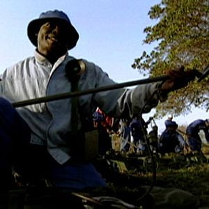 Foto Língua - Vidas em Português