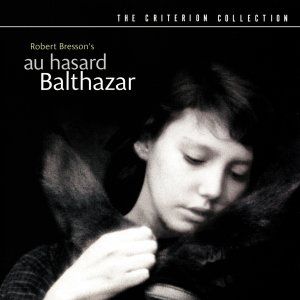 Foto A Grande Testemunha