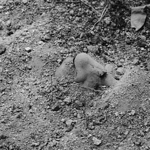 Foto Boa Sorte, Meu Amor