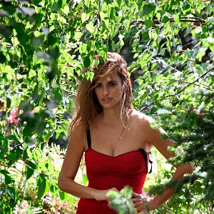 Foto Para Roma Com Amor