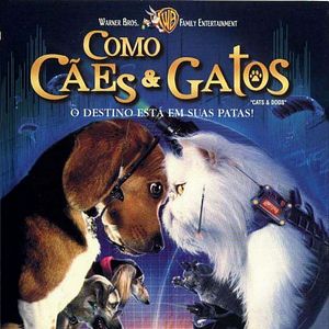 Foto Como Cães e Gatos