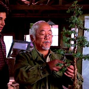 Foto Karatê Kid 3 - O Desafio Final