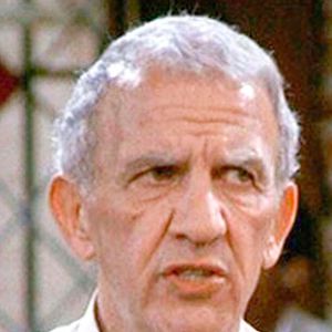 Foto Nicholas Colasanto