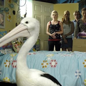 Foto H2O: Meninas Sereias