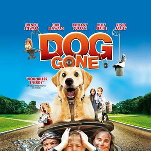 Foto Confusão pra Cachorro